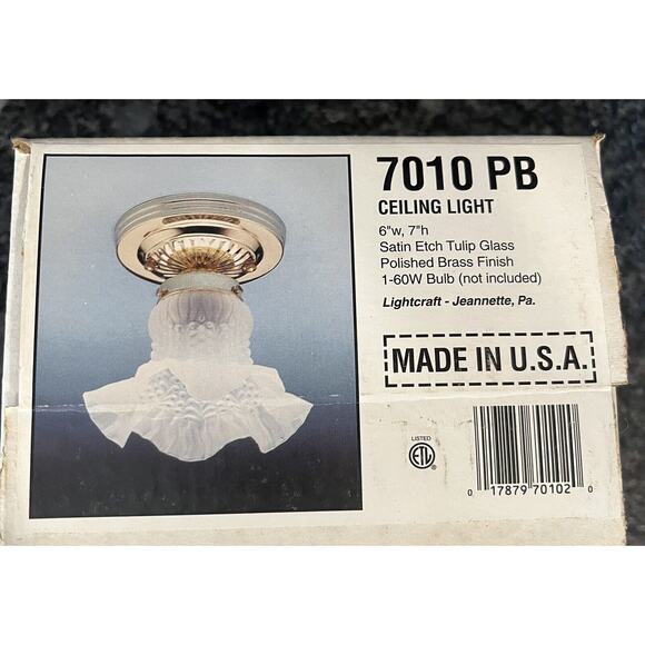 Vintage Lightcraft 7010 PB Ceiling Light Polished Brass Satin Etch Tulip Glass - Picture 4 of 4